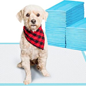 Tapete para entrenamiento de mascotas y cachorros