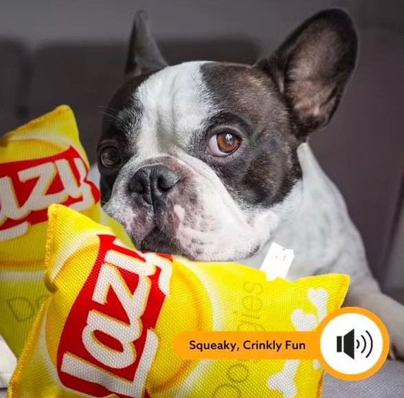 Juguete - Bolsa de patatas fritas