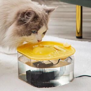 Bebedero de Agua para mascotas